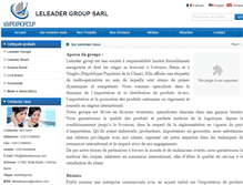 Tablet Screenshot of leleadergroup.com